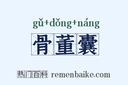 骨董囊是什么意思的图片